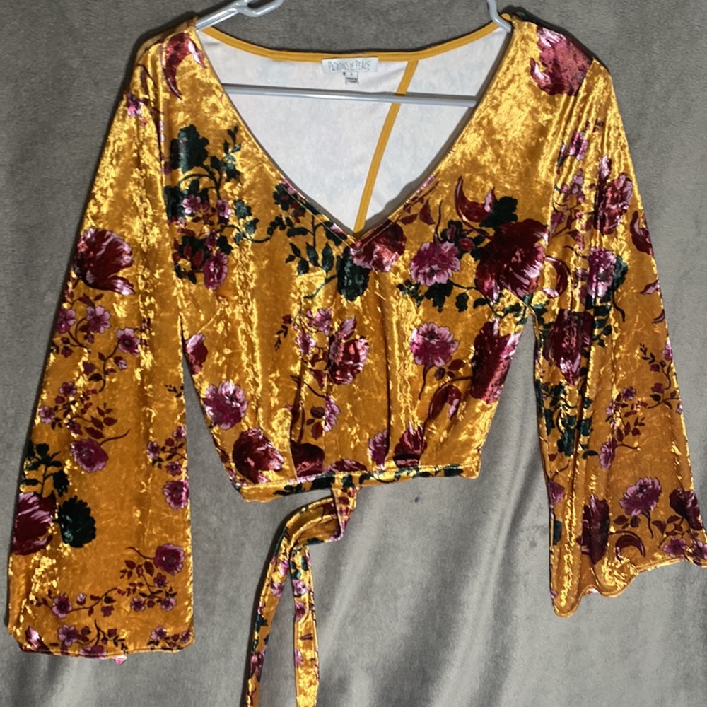 Patrons of peace velvet crop top